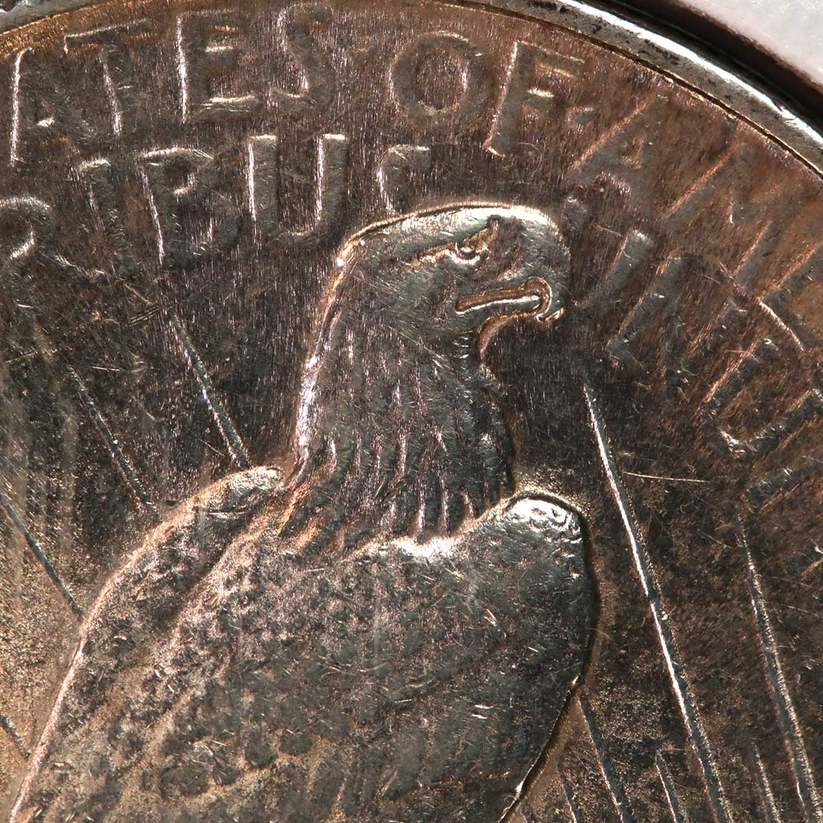 1924-Peace-Dollar-Overpolish?